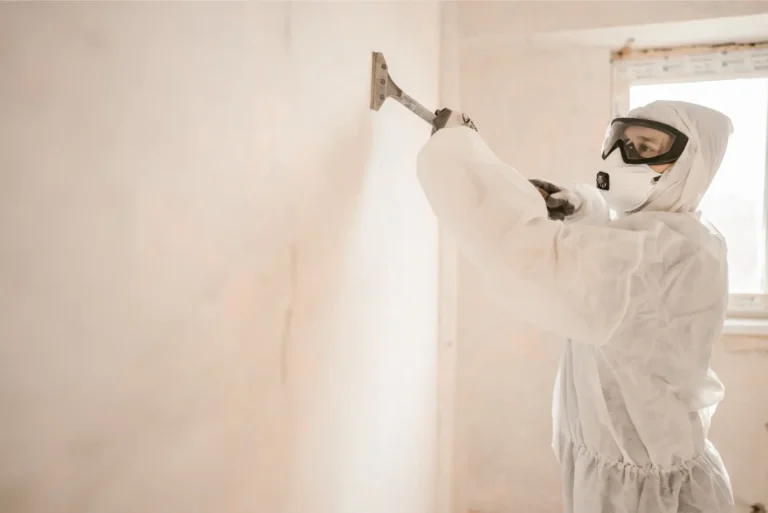 Understanding the Mold Remediation Process: What Homeowners Can Expect in Colorado