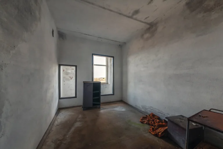 Detecting Mold in Your Home: Expert Insights for Mold Detection & Prevention